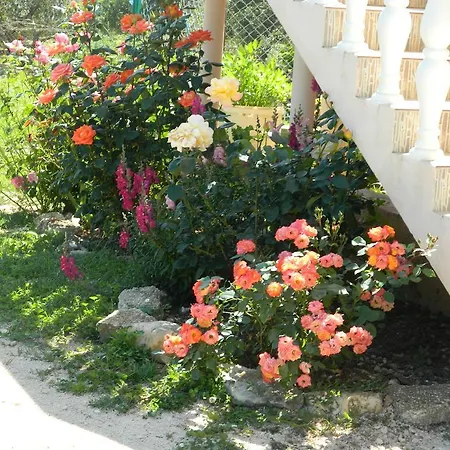 Appartement Bartulovi Dvori *