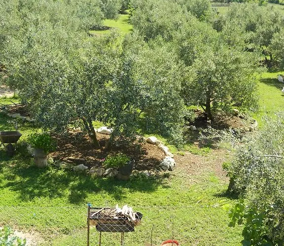 Bartulovi Dvori Poljica (Zadar)