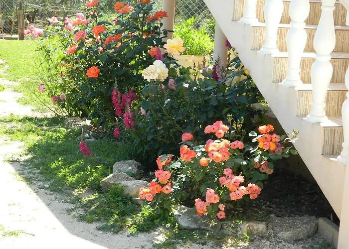 Apartman Bartulovi Dvori *